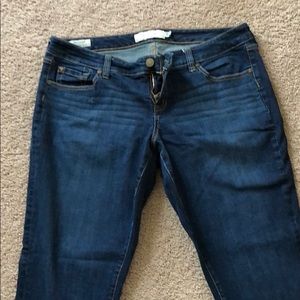 Torrid Brand Blue Jeans